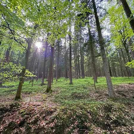 Seeblick - Tiny Nr 7 Alpesi faház *